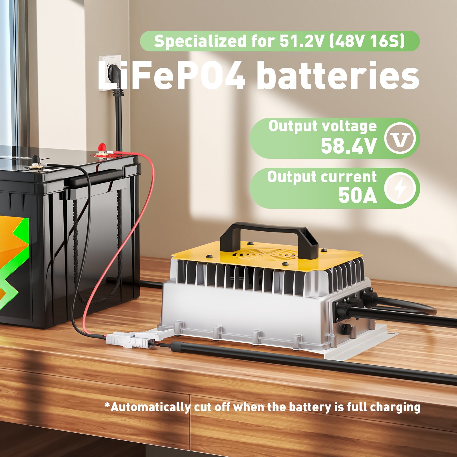  NOEIFEVO 58,4 V 50 A LiFePO4 Caricabatterie per batteria LiFePO4 51,2 V (48 V) 16S, impermeabile, 0 V BMS attivato