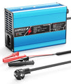 NOEIFEVO 36.5V 2A 3A 3.5A 4A  Caricabatterie LiFePO4 per batteria 10S 32V LiFePO4, spegnimento automatico (BLU)