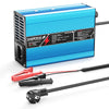 NOEIFEVO 58,4 V 5 A  per LiFePO4 batteria Caricabatterie 51,2 V 16 S con spegnimento automatico per scooter elettrico e moto con ventola di raffreddamento